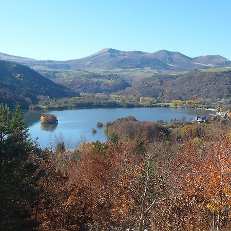 Вілла Les Chenets Шамбон-сюр-Лак Екстер'єр фото